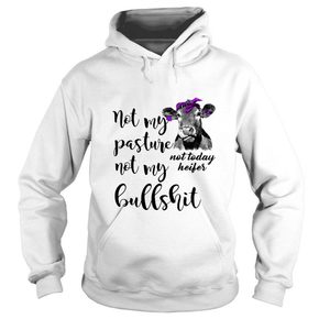 Not my pasture not try me bullshit not today heifer cow Hoodie BC19