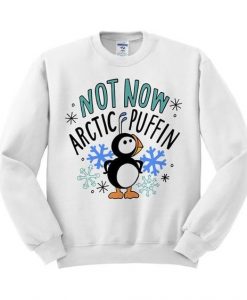 Not Now Arctic Puffin Sweatshirt SR01