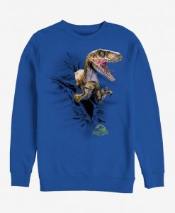 Dino Roar Sweatshirt FD