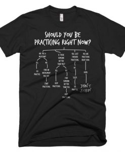 Should You Practice Music T-Shirt DV01
