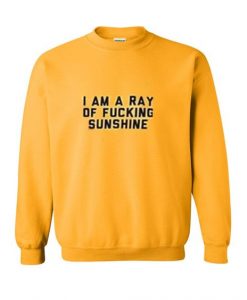 Fucking Sunshine Sweatshirt N22AZ