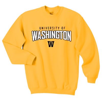 washington Sweatshirt AI4D