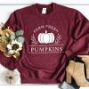 Pumpkins Sweatshirt TY1S0