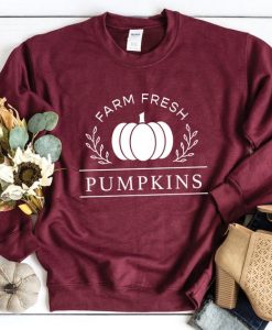 Pumpkins Sweatshirt TY1S0